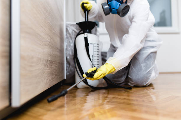 Best Exterminator Services  in Reeds Spring, MO