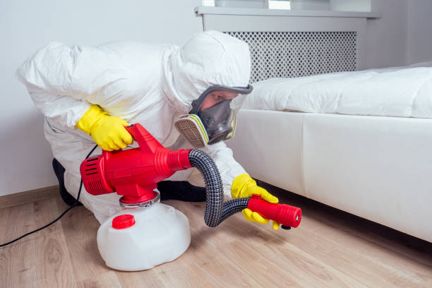 Best Residential Pest Control  in Reeds Spring, MO