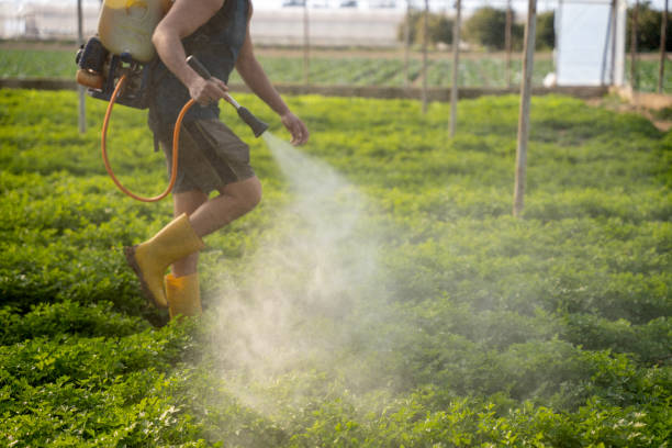 Best Pest Control for Restaurants  in Reeds Spring, MO
