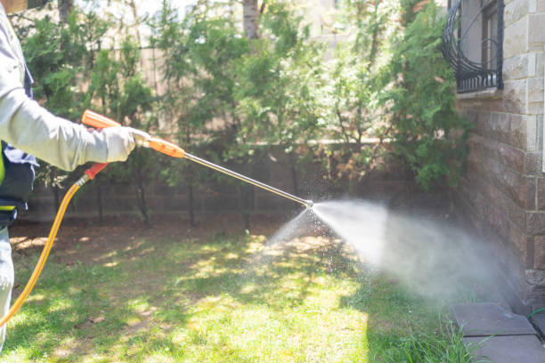 Wildlife Control Services in Reeds Spring, MO